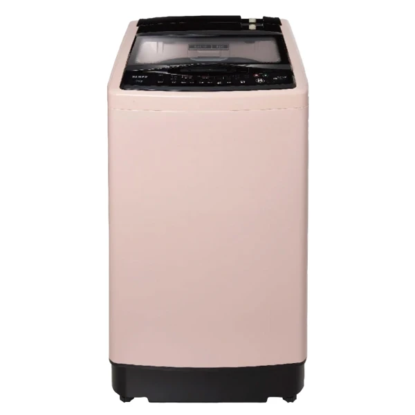 【SAMPO 聲寶】變頻超震波洗衣機15KG(送基本安裝)(ES-P15DV(P1))