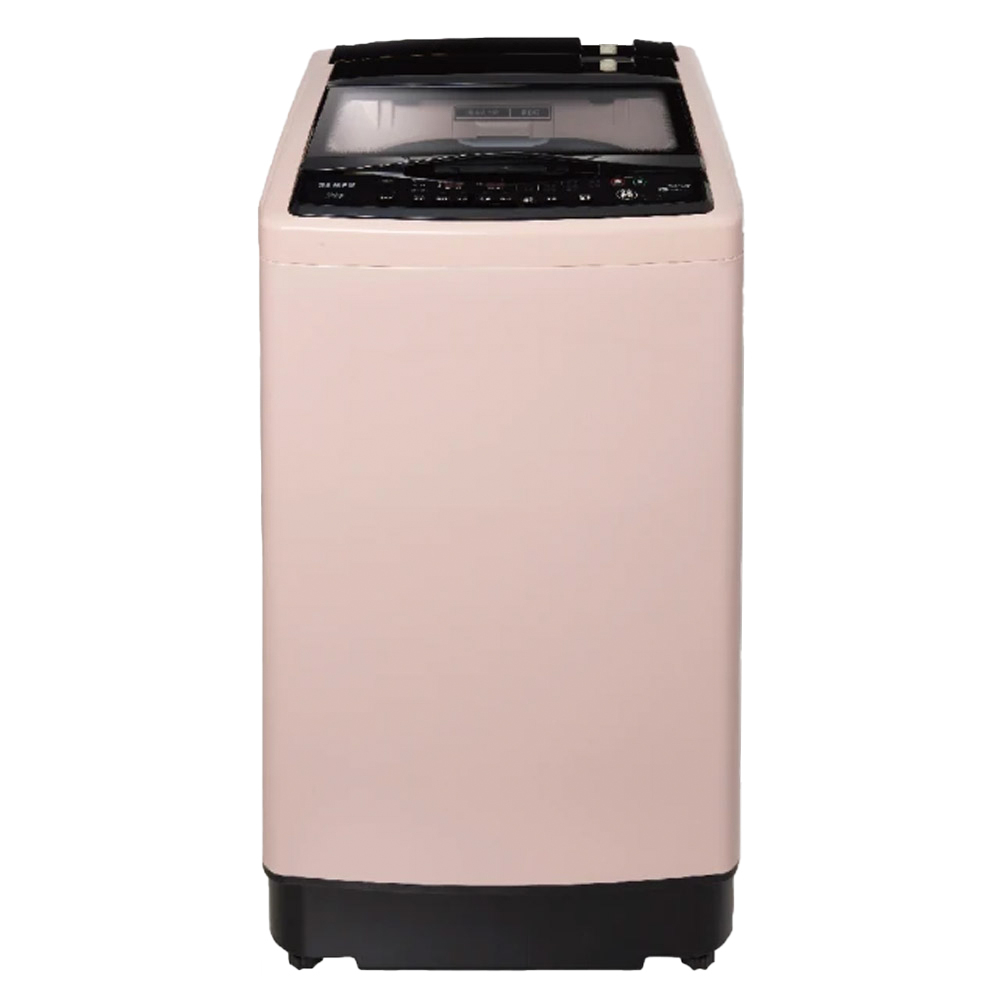 【SAMPO 聲寶】變頻超震波洗衣機15KG(送基本安裝)(ES-P15DV(P1))