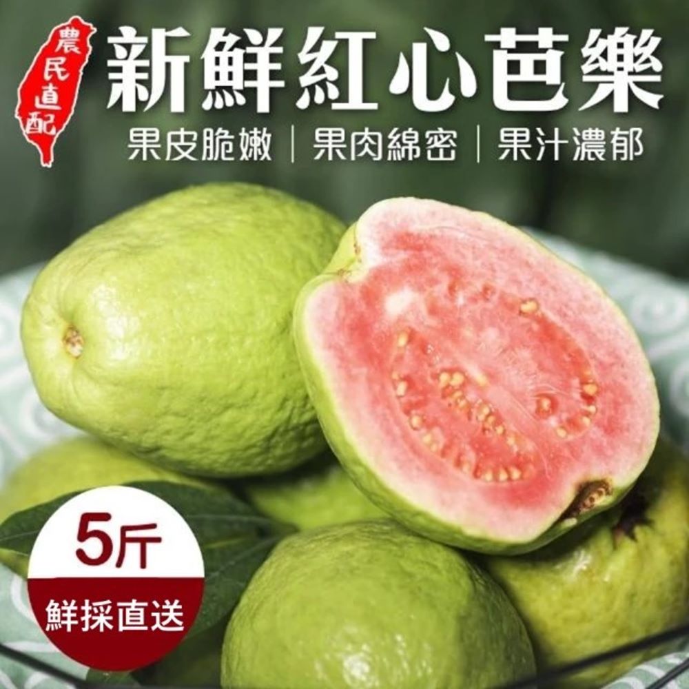 【天天果園】紅心芭樂(5斤/箱)