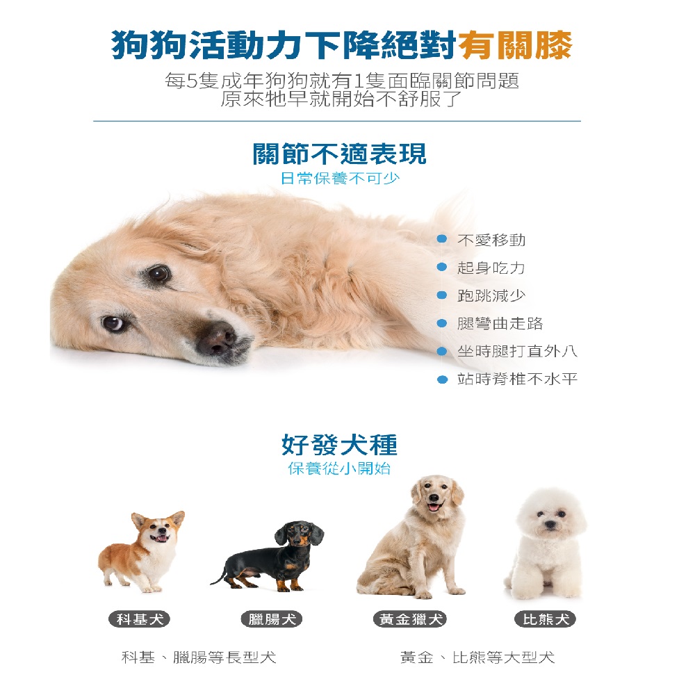 MORESON 木入森】犬寶有關膝關節肌肉軟骨肥胖高齡(30顆/盒) - 全聯全電商