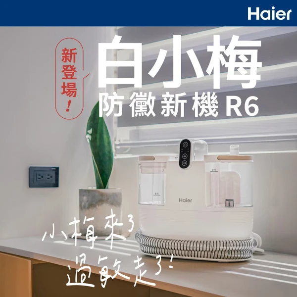 【Haier 海爾】白小梅防黴織物清潔機(R6)