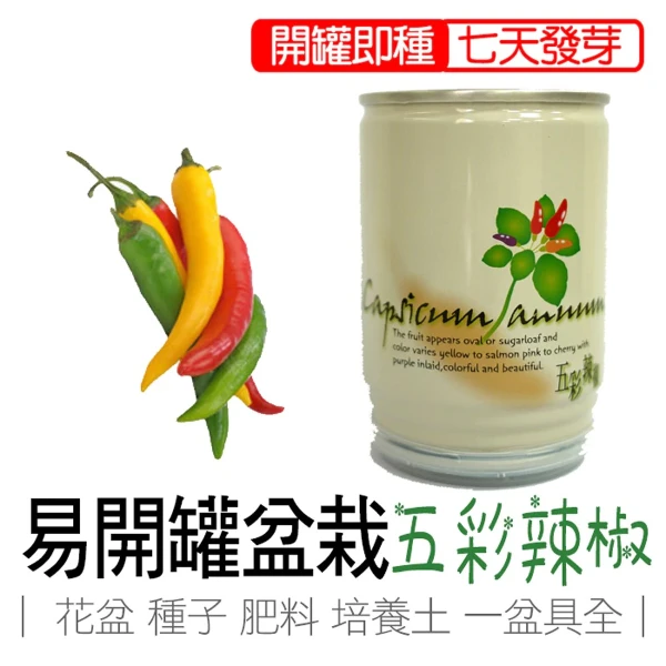 【iPlant】易開罐頭小農場-五彩辣椒(無蚊蟲  無異味  免施肥 免翻土)