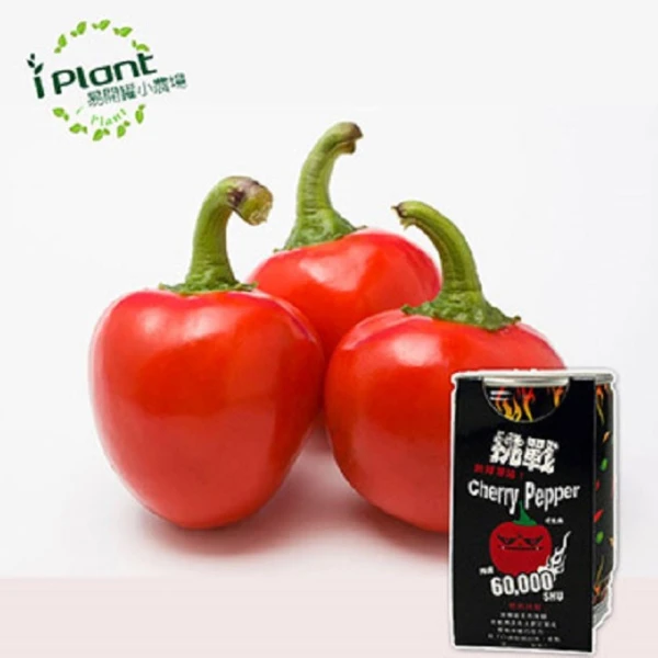 【iPlant】易開罐頭小農場-櫻桃辣椒(無蚊蟲  無異味  免施肥 免翻土)