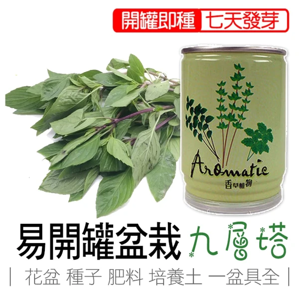 【iPlant】易開罐頭小農場-香草植物(九層塔)(無蚊蟲  無異味  免施肥 免翻土)