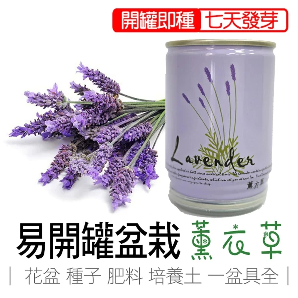 【iPlant】易開罐頭小農場-薰衣草(無蚊蟲  無異味  免施肥 免翻土)