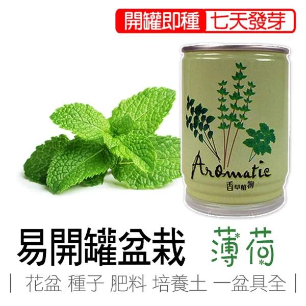 【iPlant】易開罐頭小農場-薄荷(無蚊蟲  無異味  免施肥 免翻土)