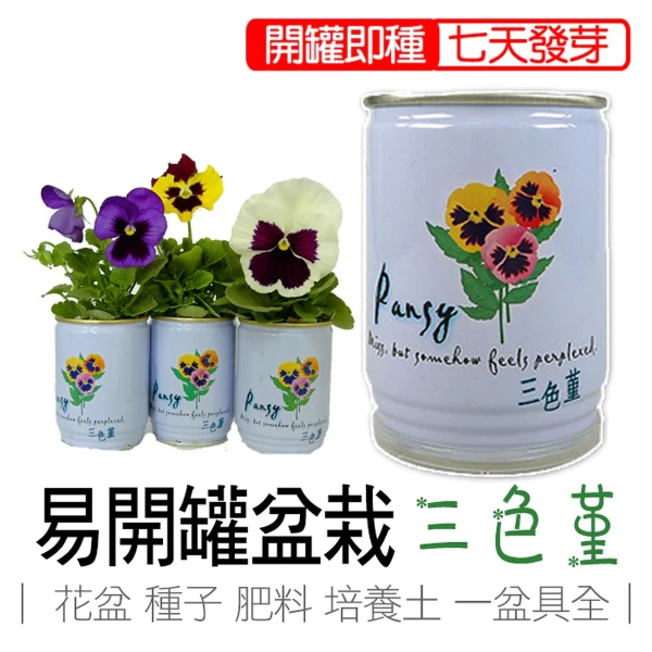 【iPlant】易開罐頭小農場-三色堇(無蚊蟲  無異味  免施肥 免翻土)