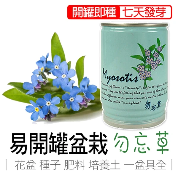 【iPlant】易開罐頭小農場-勿忘草(無蚊蟲  無異味  免施肥 免翻土)