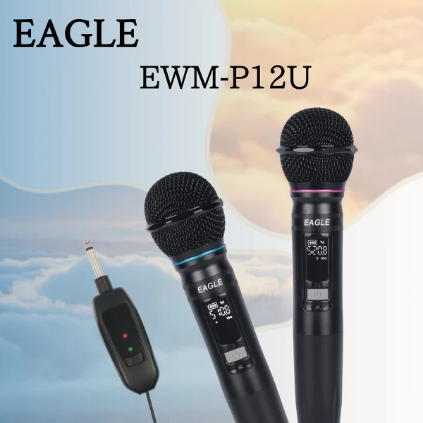 【EAGLE】EWM-P12U 一 對二無線麥克風(一組)