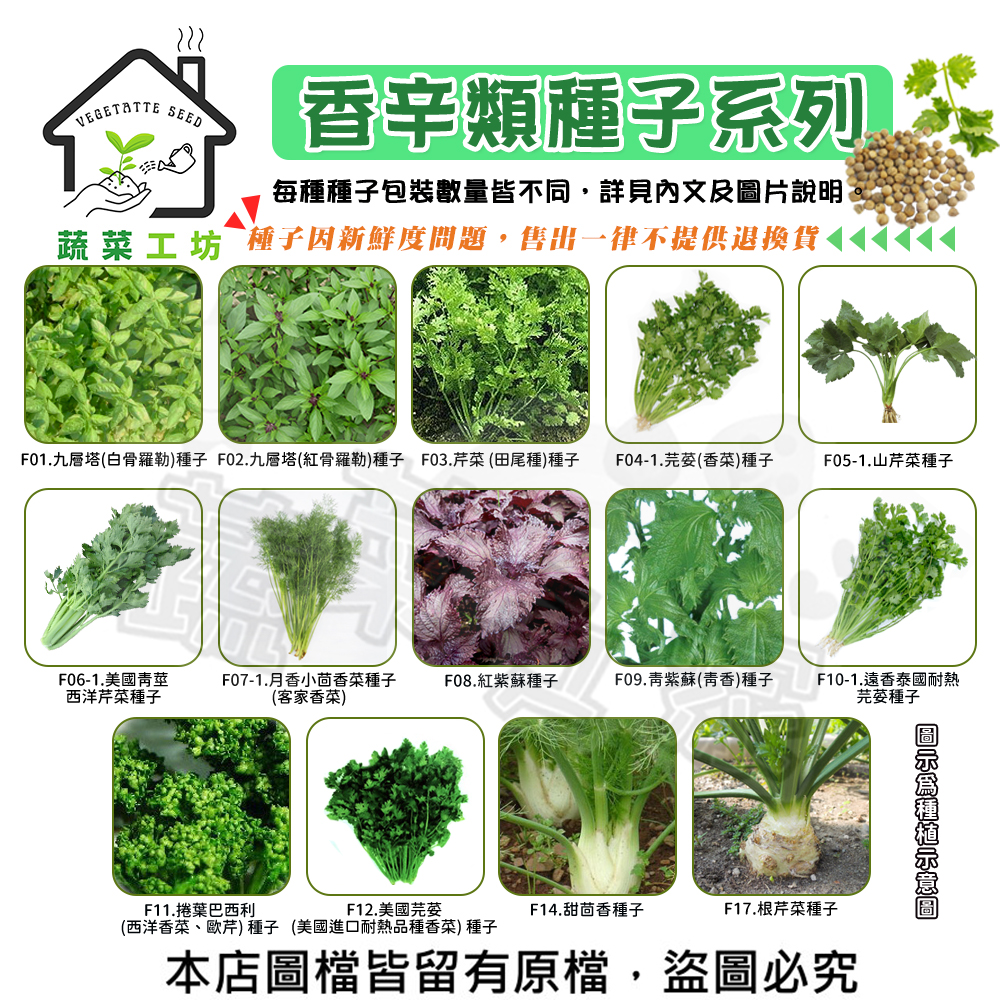 【蔬菜工坊】香辛類種子系列(各包裝數量詳見內文及圖片說明)九層塔 芹菜 芫荽 香菜 山芹菜 紫蘇 根芹菜 西洋芹(1包入)