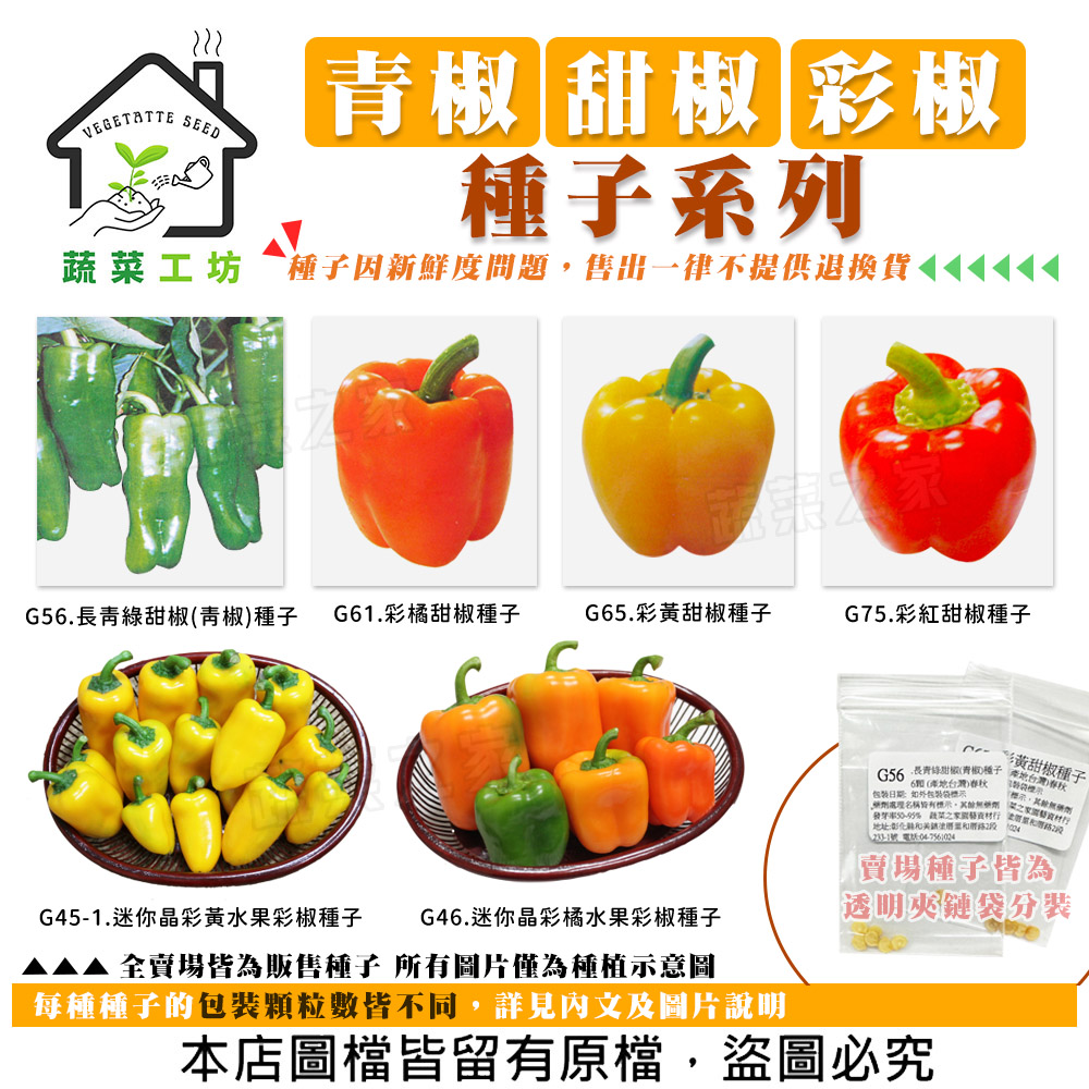 【蔬菜工坊】青椒.甜椒.彩椒種子系列(各包裝數量詳見內文及圖片說明) 水果彩椒 長青綠甜椒 紅色甜椒(1包入)
