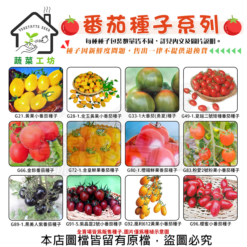 【蔬菜工坊】番茄 蕃茄種子系列-各種包裝數量詳見內文及圖片-小番茄 大番茄 紫番茄 黃果小番茄(1包入)