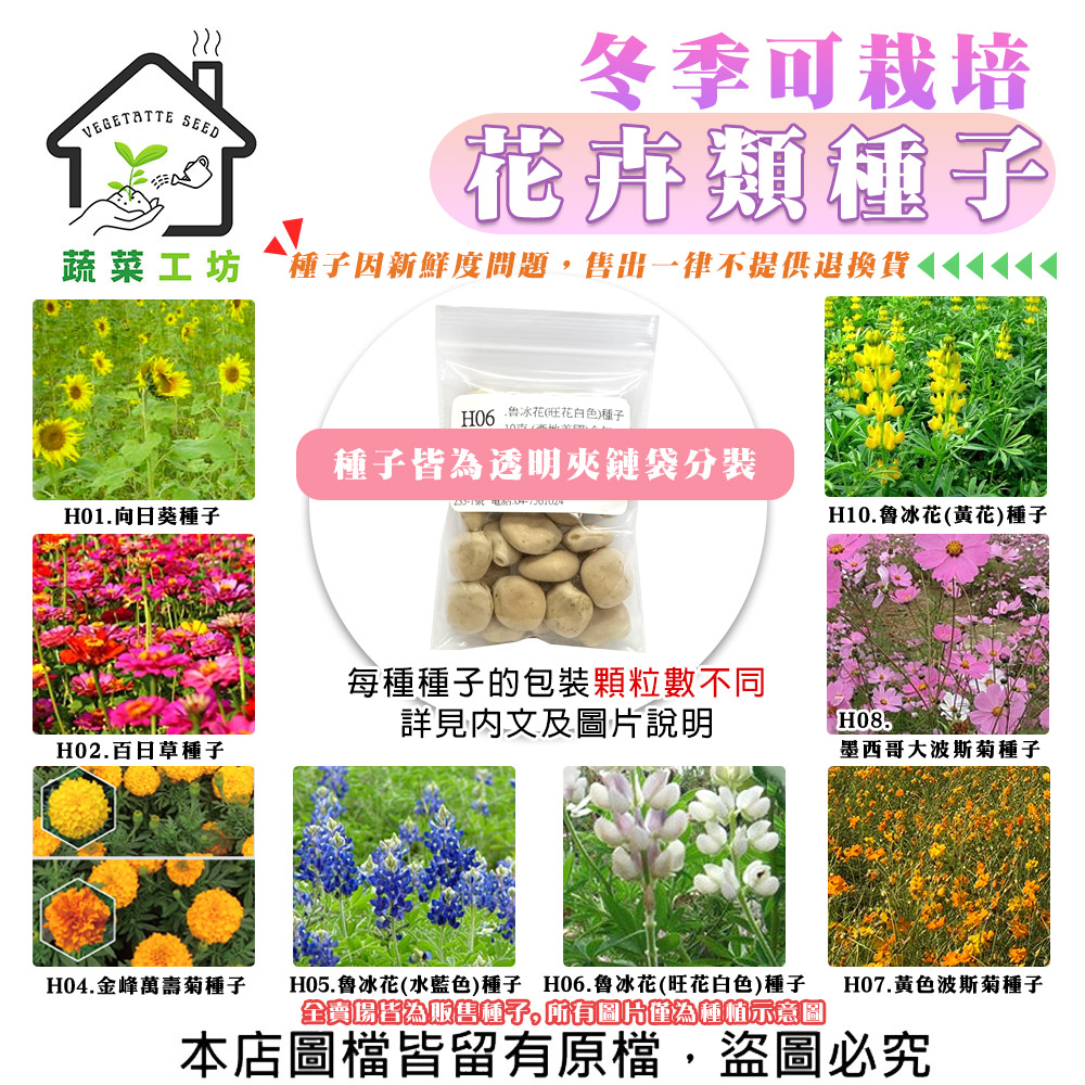 【蔬菜工坊】冬季可栽培花卉種子系列-各包裝數量詳見內文及圖片-魯冰花 波斯菊 蜀葵 金盞花(1包入)