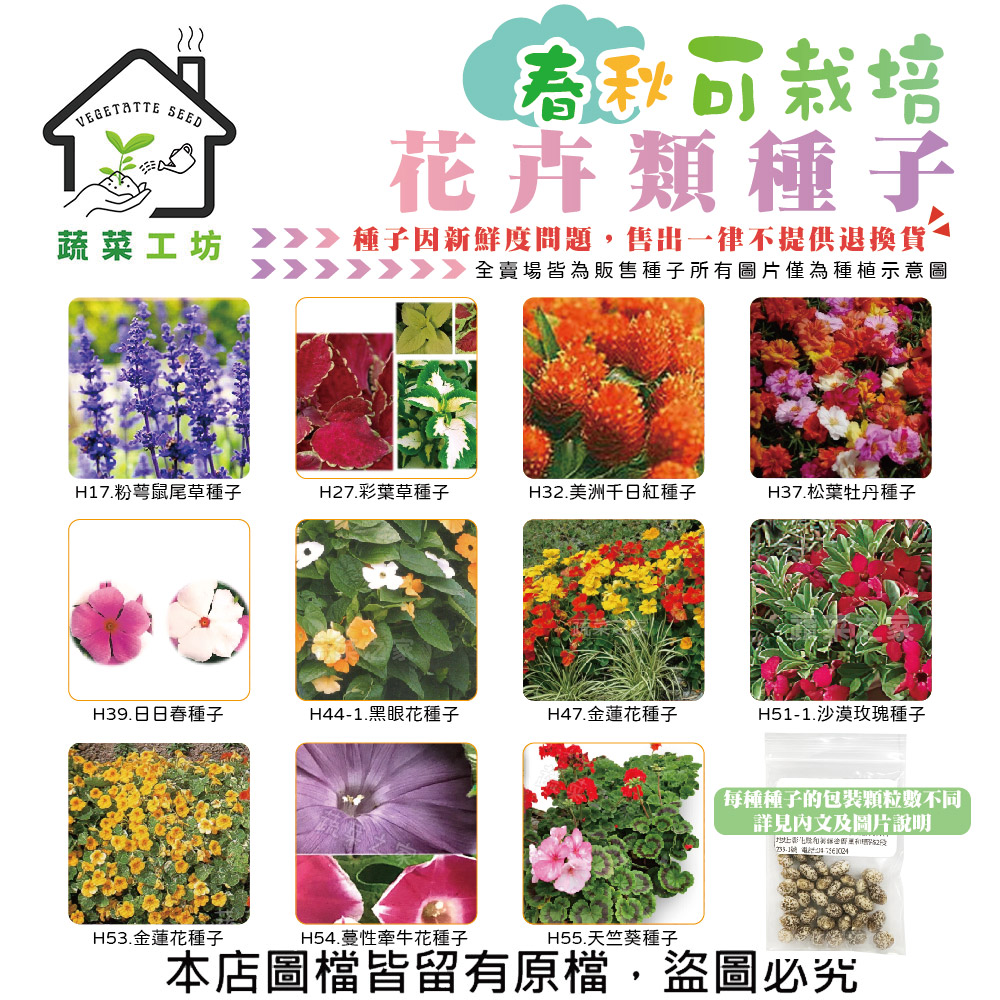【蔬菜工坊】春秋可栽培花卉種子系列-各包裝數量詳見內文及圖片-蜀葵 雁來紅 鼠尾草 彩葉草 松葉牡丹(1包入)