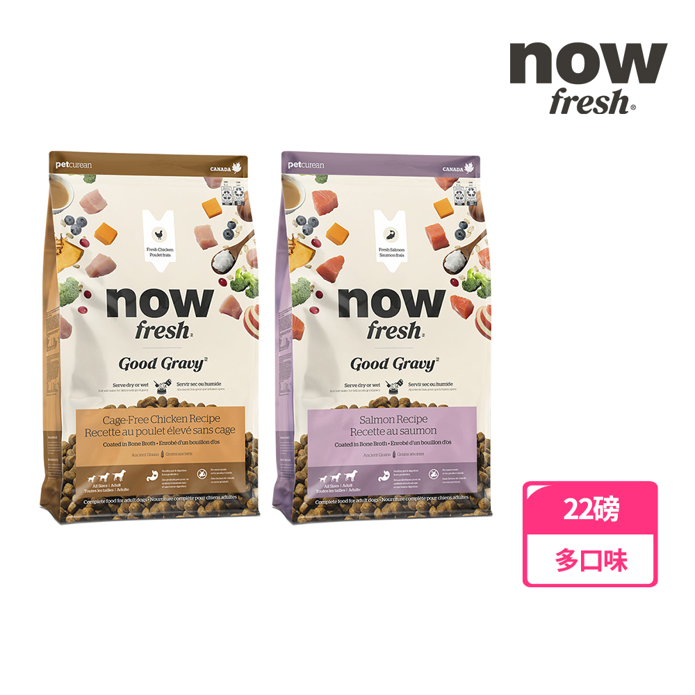 【now FRESH】now 中型犬 高湯天然糧 22磅 狗飼料 火雞高湯 乾濕兩喫 補水 去骨鮮肉(雞肉/鮭魚口味)