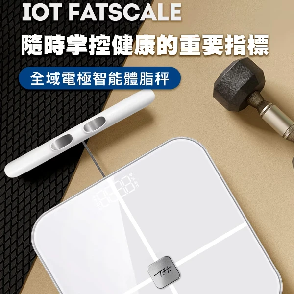 【TreasHunter】IOT FatScale 全域電極智能體脂秤(1入)