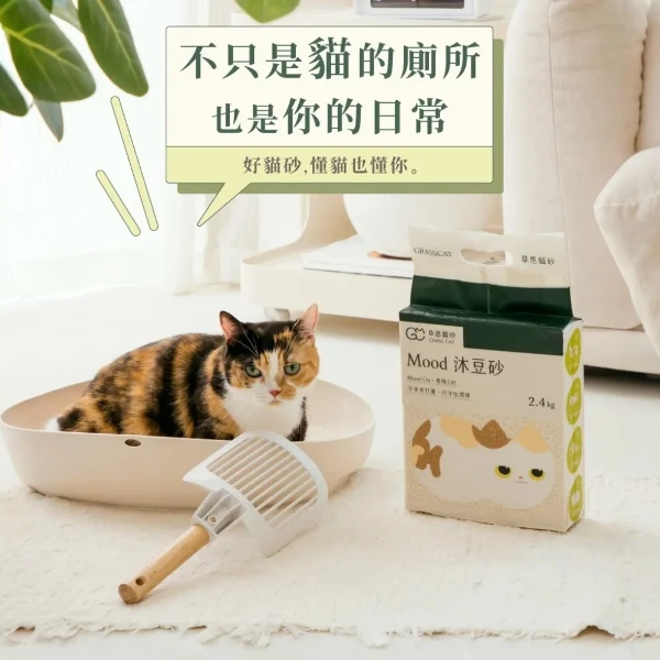 【GRASS CAT 草恩】Mood 沐豆砂-6入組(2.4kgx6)
