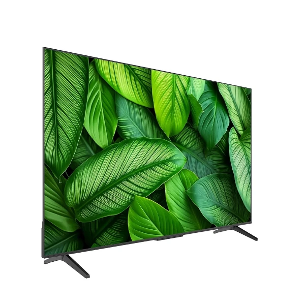 【SKYWORTH 創維】75型 4K Google TV聯網顯示器 75G6500H(含標準安裝)