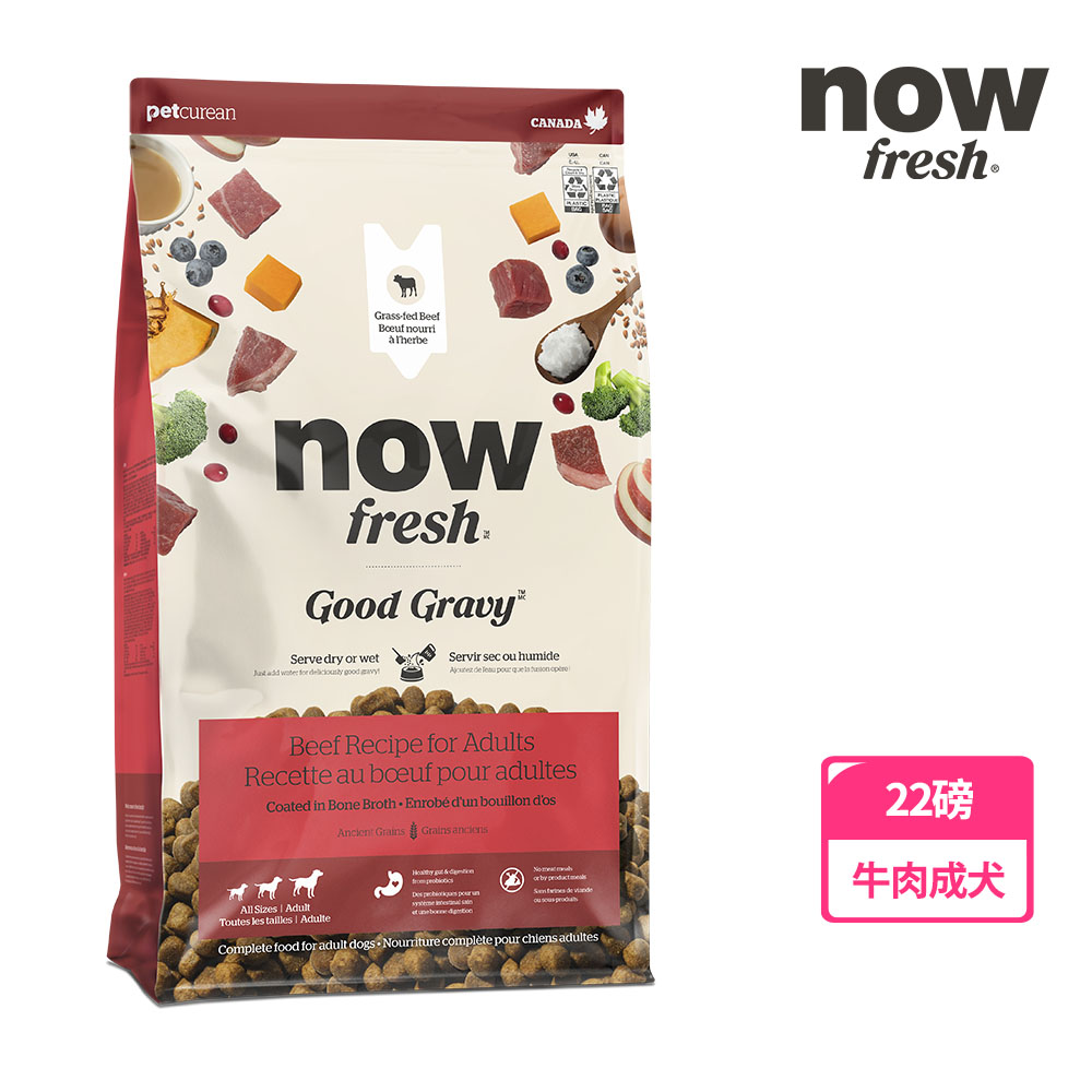 【now FRESH】中型成犬 牛肉 高湯天然糧 22磅 狗飼料 火雞高湯 乾濕兩吃 補水 去骨鮮肉(一包)