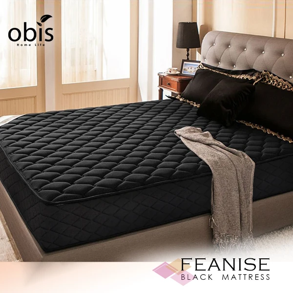 【obis】鑽黑系列-FEANISE菲倪斯奈米石墨烯乳膠獨立筒無毒床墊(雙人5尺)