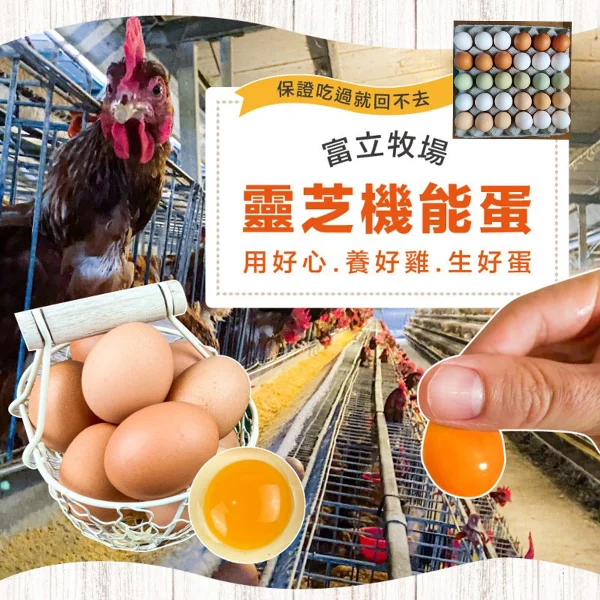 【初品果】富立牧場靈芝機能雞蛋(彩色蛋60顆x1組(48小時內新鮮生產雞蛋/多項檢驗合格))