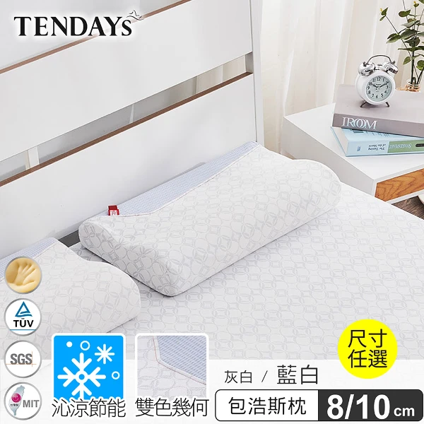 【TENDAYS】包浩斯簡約風紓壓記憶枕(藍白 8/10cm高  任選 )
