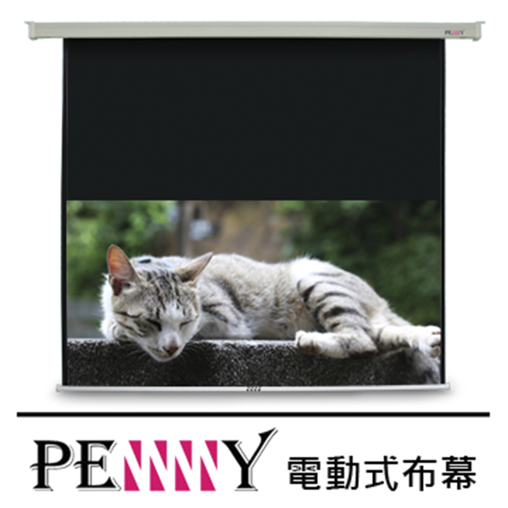 【PENNY】PP-120(16:9)方型電動幕(1件)