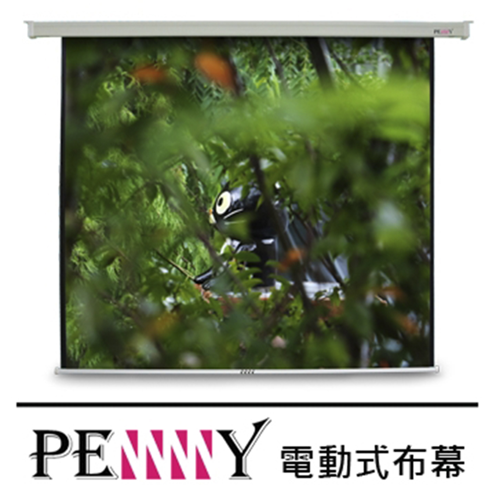 【PENNY】PS-120(4:3)方型電動幕(1件)
