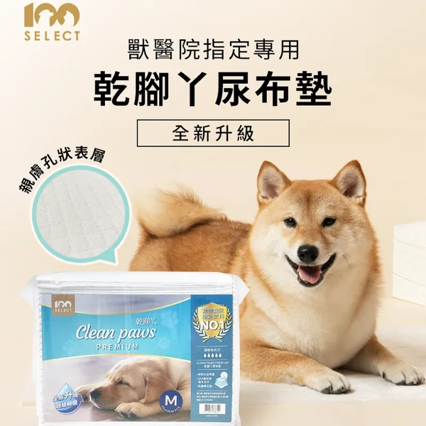 【100% Select】乾腳丫尿布墊 PREMIUM - M號 (45X60cm)(50片 * 8包)