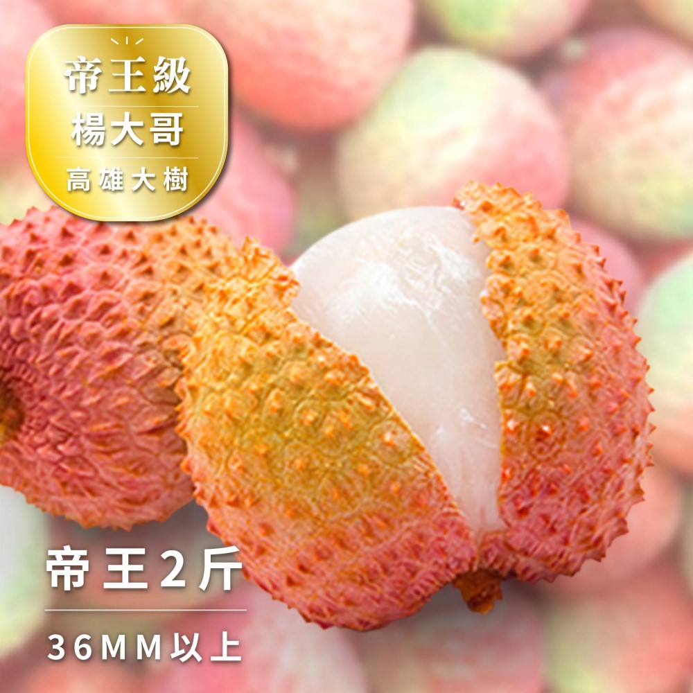 【Bit By Bit 產地咬一口】帝王級-大樹玉荷包荔枝 36mm↑ 二斤箱(28mm~36mm 冷藏 送禮首選 禮盒 荔枝 新鮮水果 預購)