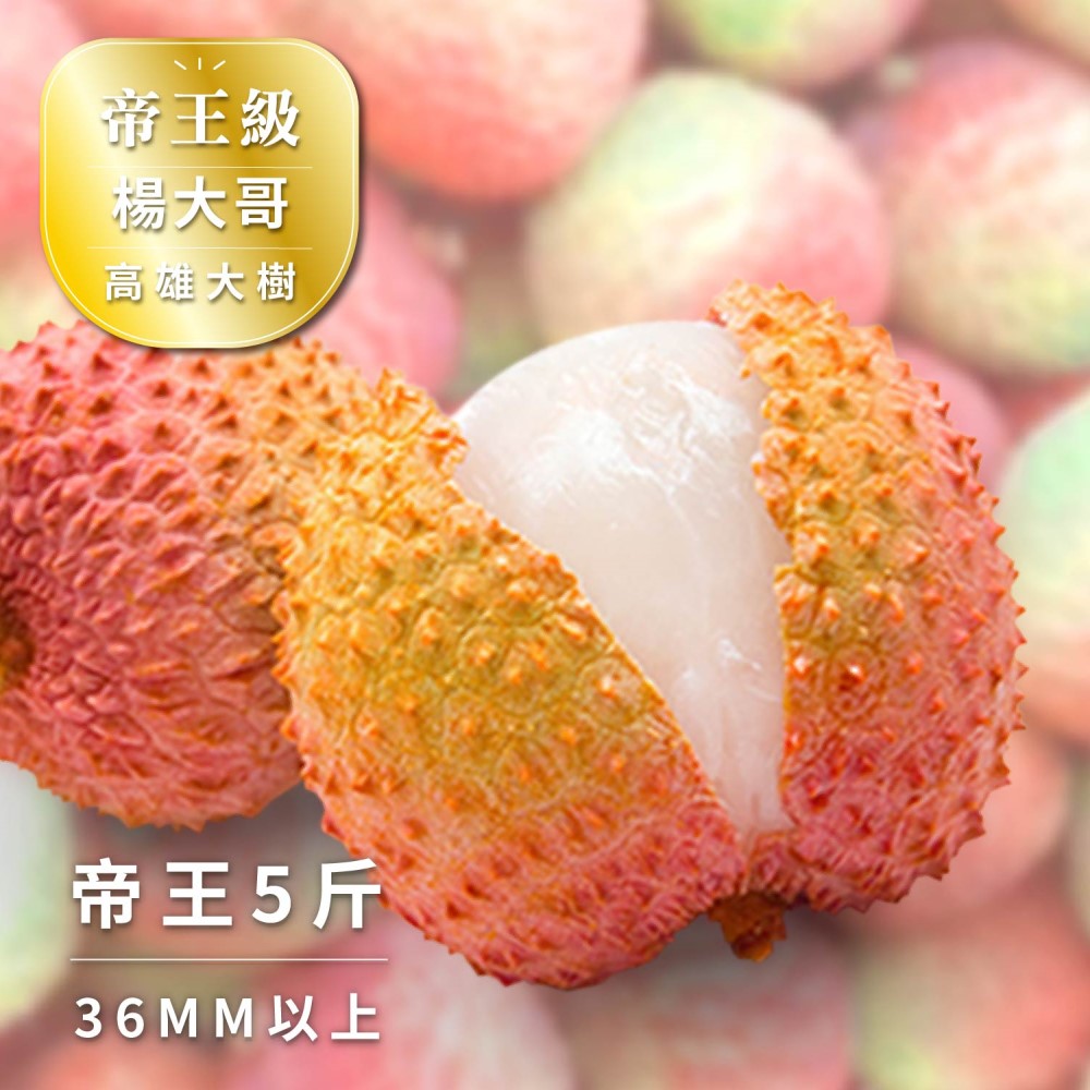 【Bit By Bit 產地咬一口】帝王級-大樹玉荷包荔枝 36mm↑ 五斤箱(28mm~36mm 冷藏 送禮首選 禮盒 荔枝 新鮮水果 預購)