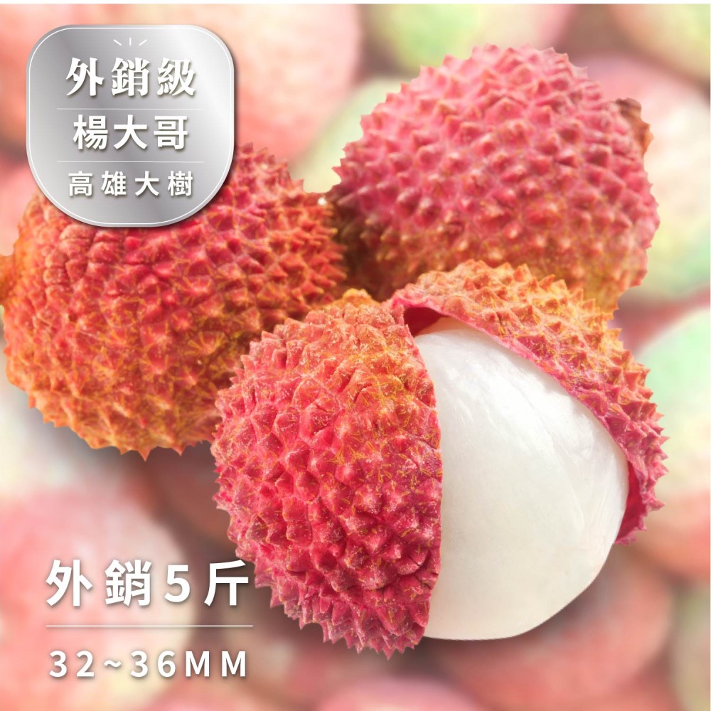 【Bit By Bit 產地咬一口】外銷級-大樹玉荷包荔枝 32~36mm 五斤箱(28mm~36mm 冷藏 送禮首選 禮盒 荔枝 新鮮水果 預購)