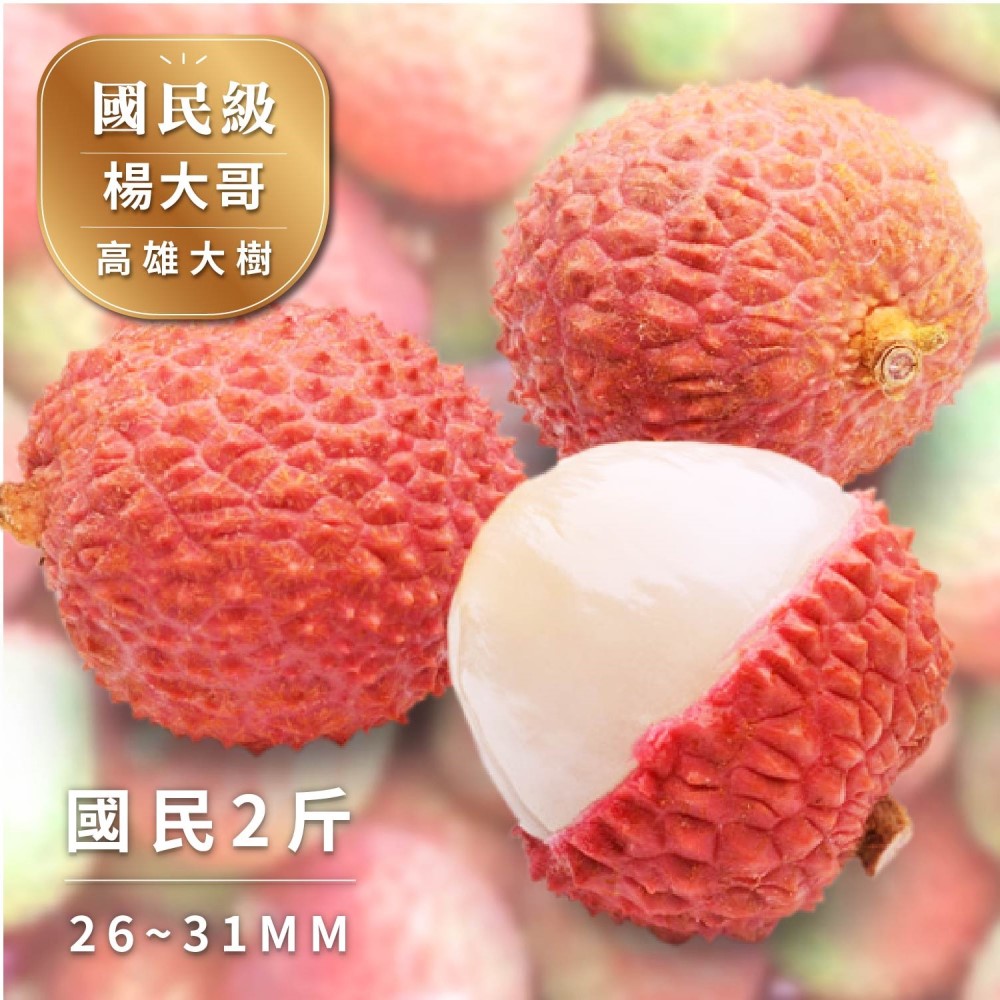 【Bit By Bit 產地咬一口】國民級-大樹玉荷包荔枝 26~31mm 二斤箱(28mm~36mm 冷藏 送禮首選 禮盒 荔枝 新鮮水果 預購)