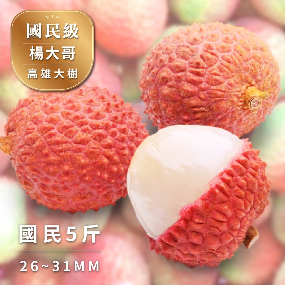 【Bit By Bit 產地咬一口】國民級-大樹玉荷包荔枝 26~31mm 五斤箱(28mm~36mm 冷藏 送禮首選 禮盒 荔枝 新鮮水果 預購)