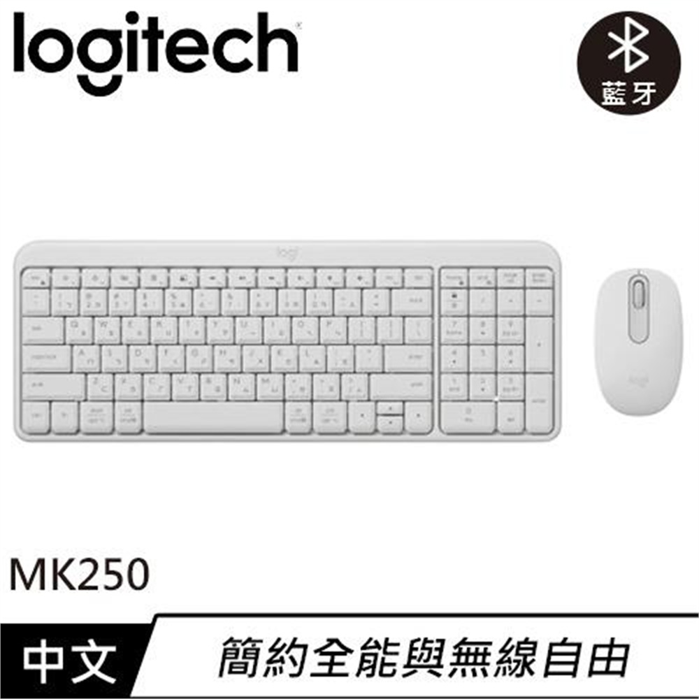【TE】Logitech 羅技 MK250 無線鍵盤滑鼠組 白色(Logitech 羅技 MK250 無線鍵盤滑鼠組 白色)