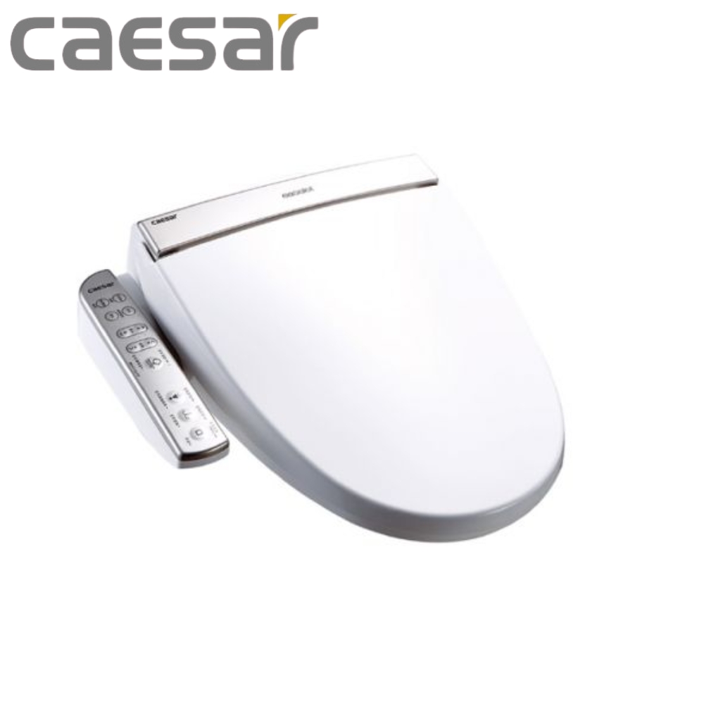 【CAESAR 凱撒衛浴】TAF191 儲熱式免治 電腦馬桶座 溫水洗淨便座(免治、凱撒、電腦馬桶座、溫水、不銹鋼)(1台)