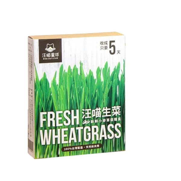 【汪喵星球】汪喵生菜新鮮小麥草栽種盒(*4入 購買二件贈送泰國寵物喝水神仙磚《淨水神仙磚》 (重量超過20kg除外))