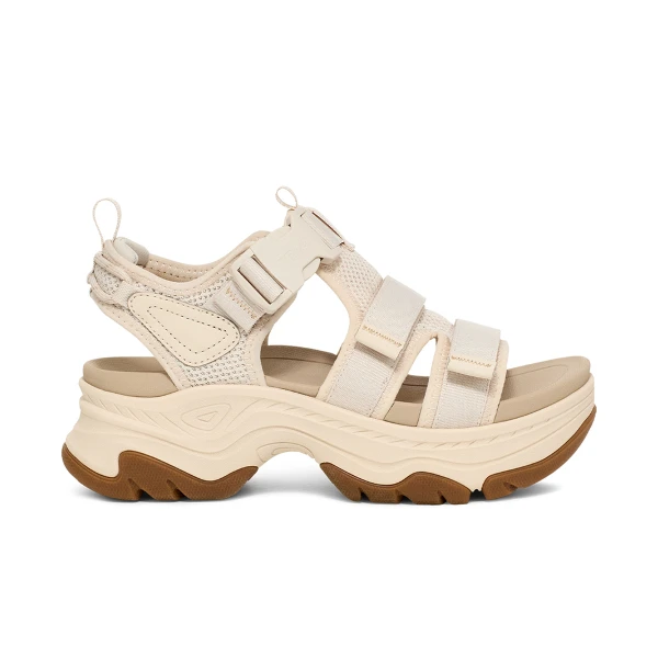 【TEVA】W Hurricane Ampsole Gaila 女 運動涼鞋 休閒 卡其 棕(TV1164570BIR)