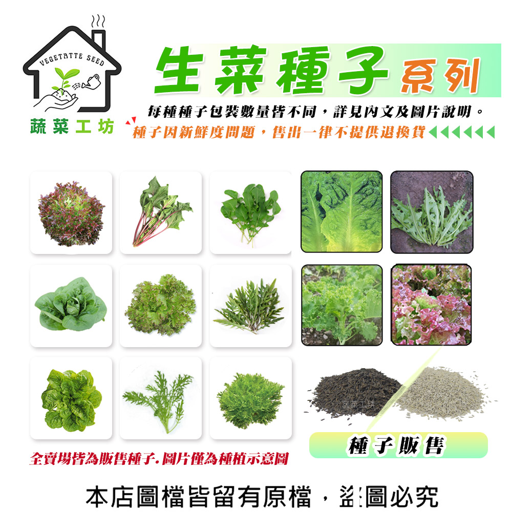 【蔬菜工坊】生菜種子系列一(各包裝數量詳見內文及圖片說明)水耕種子 土耕種子 水耕蔬菜 萵苣 生菜沙拉 羽衣甘藍(1包入)