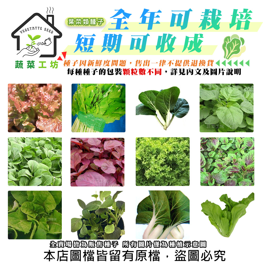 【蔬菜工坊】全年可栽培短期收成葉菜類種子系列(各種包裝數量詳見內文及圖片)青江菜 白菜 芥藍菜 空心菜 大陸妹(1包入)
