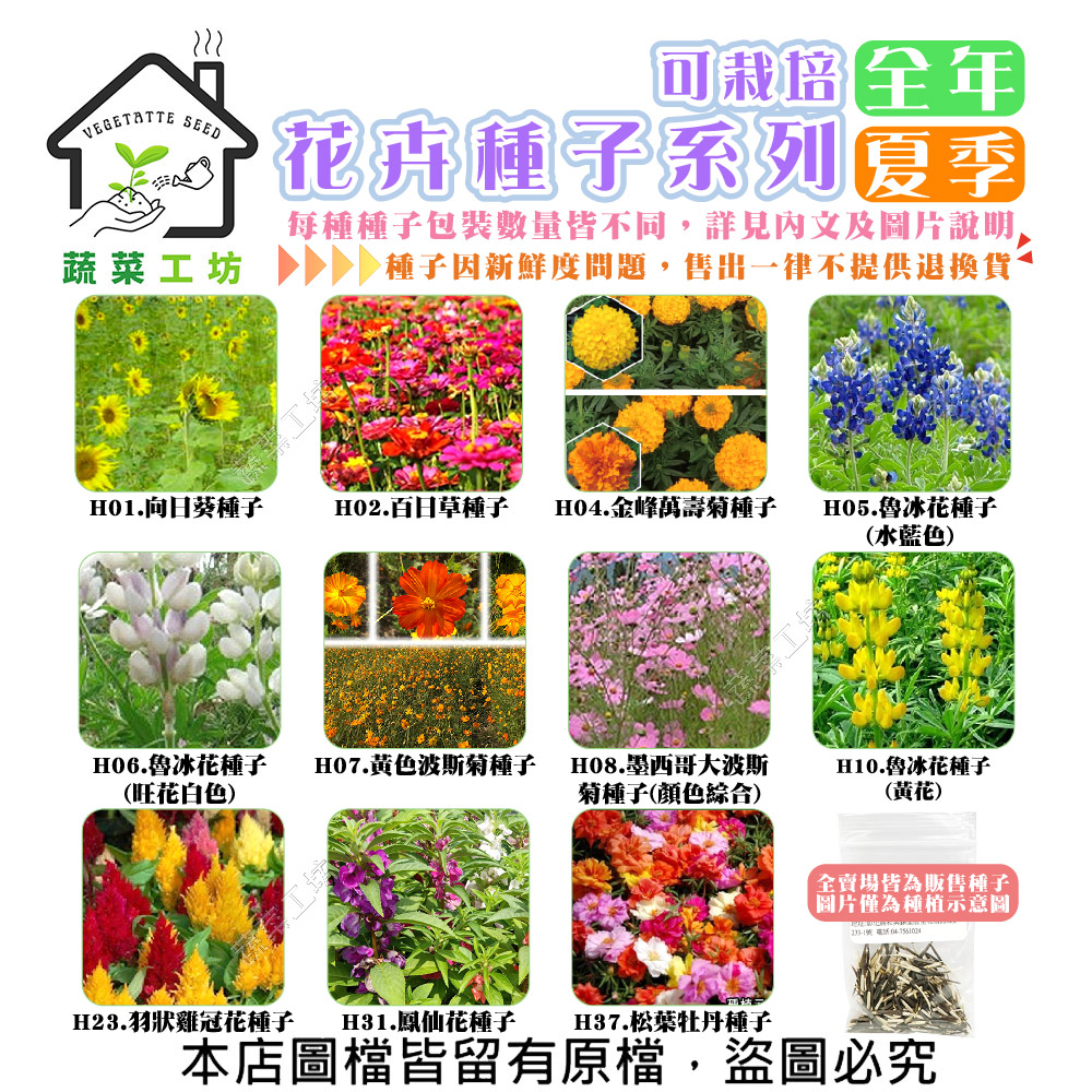 【蔬菜工坊】全年及夏季可栽培花卉種子系列(各包裝數量詳見內文及圖片說明)向日葵 百日草 萬壽菊 雞冠花 大理花(1包入)