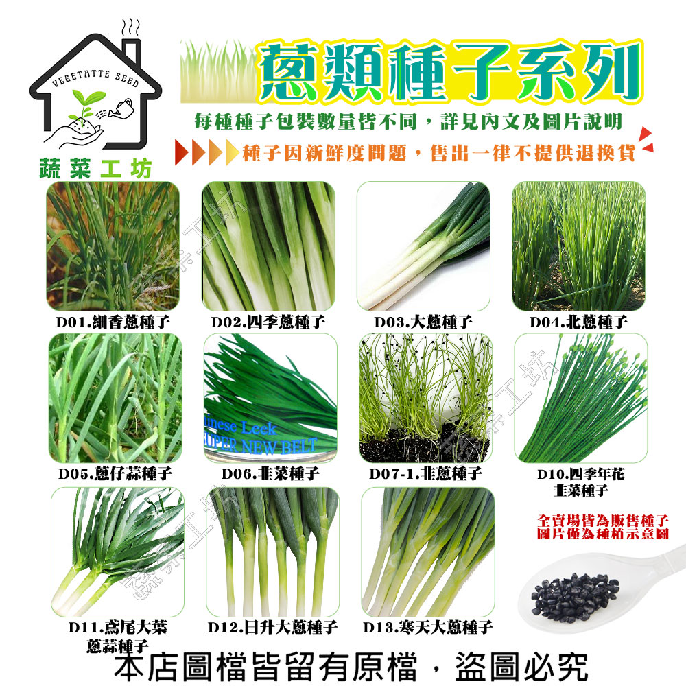 【蔬菜工坊】蔥類種子系列(各種包裝數量詳見內文及圖片說明)蔥 細香蔥 四季蔥 大蔥 北蔥 蔥仔蒜 韭菜 九條蔥(1包入)