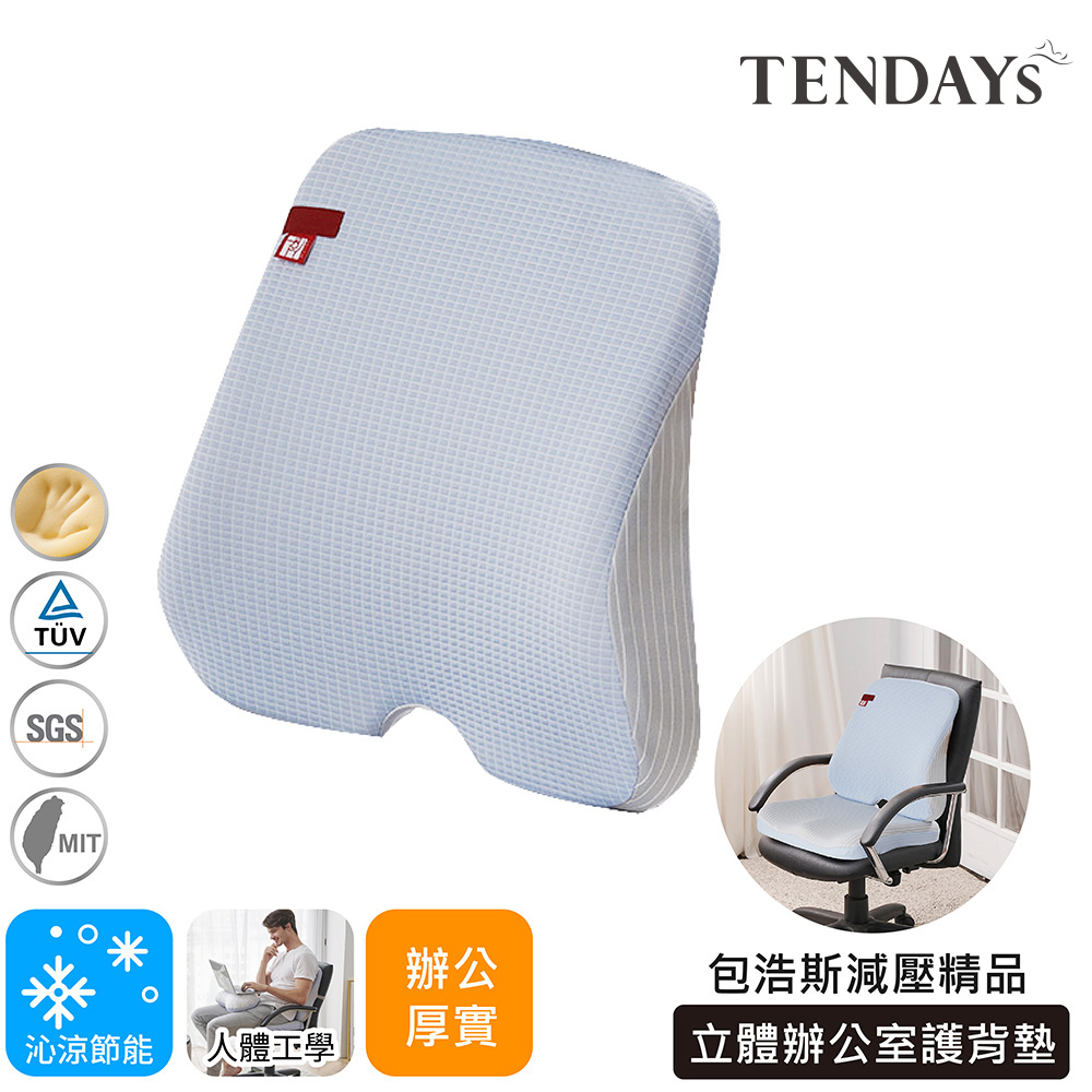 【TENDAYS】包浩斯立體辦公室護背墊(背墊、靠墊、腰墊) - 全聯全電商