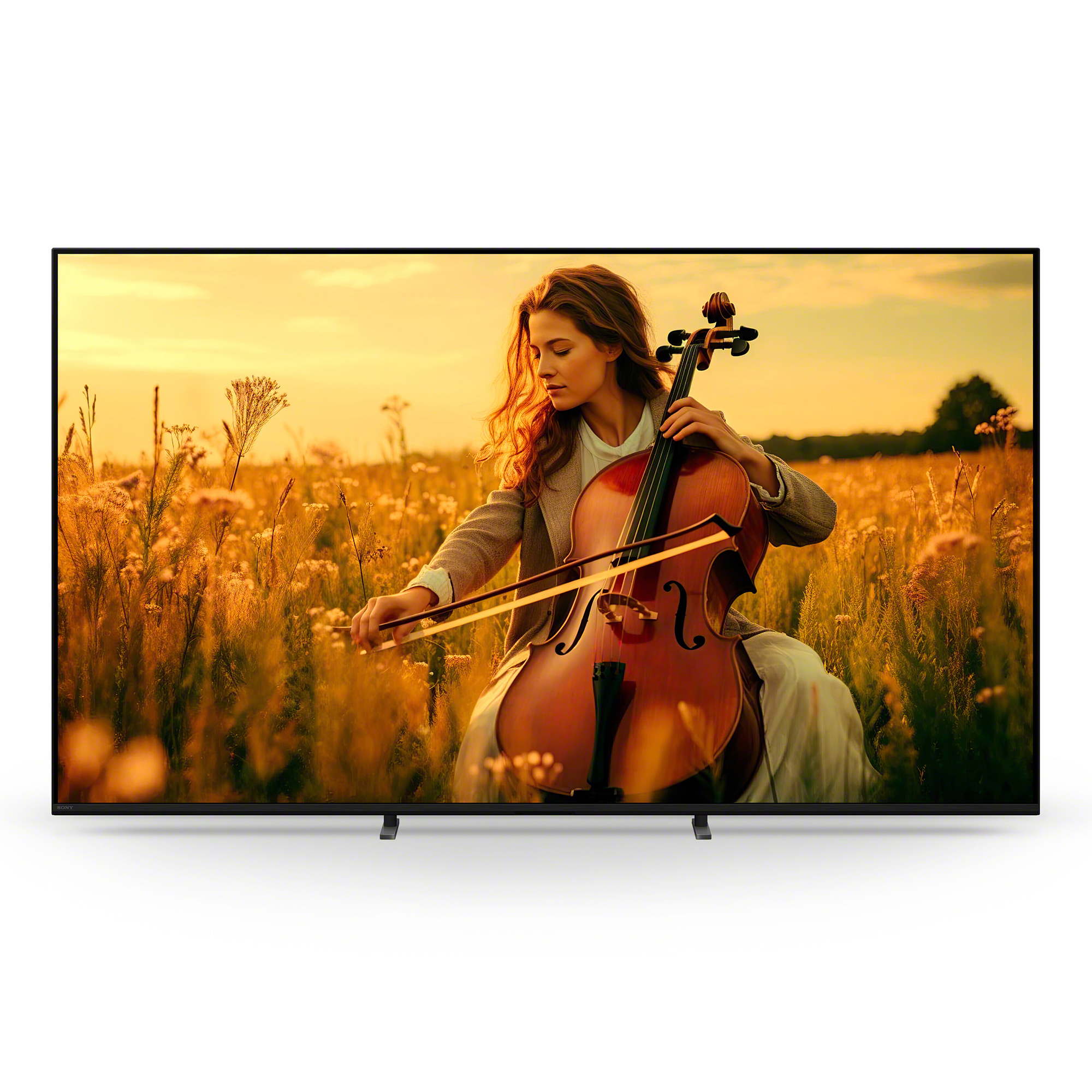 【SONY 索尼】SONY Y-55XR50(Y-55XR50)