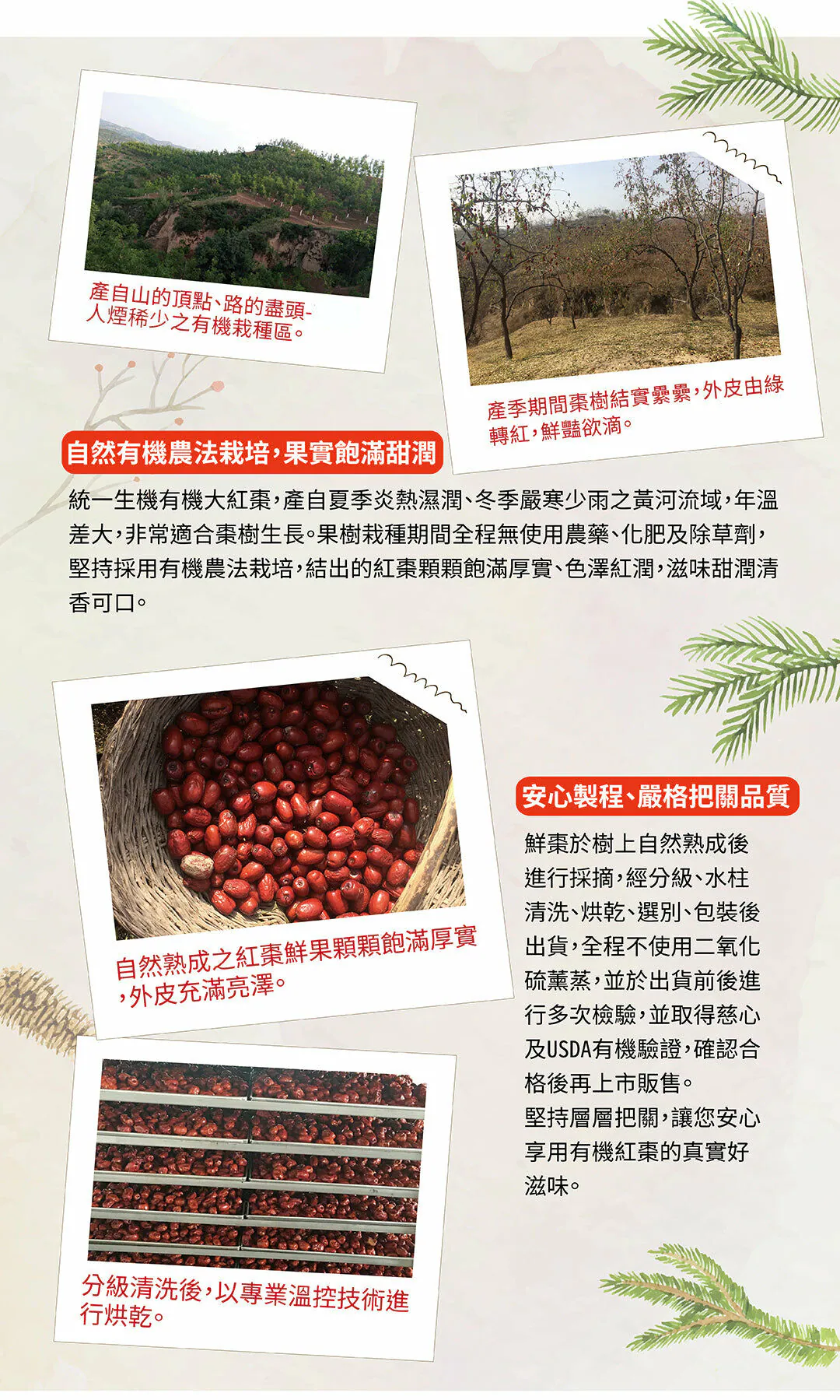 original (1).jpg