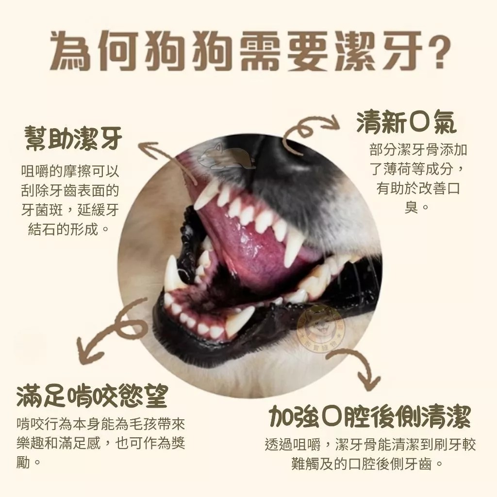 tw-11134207-81ztp-mgrsd1oqcl5bde.png